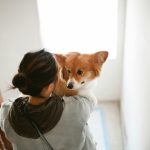 happy pets together