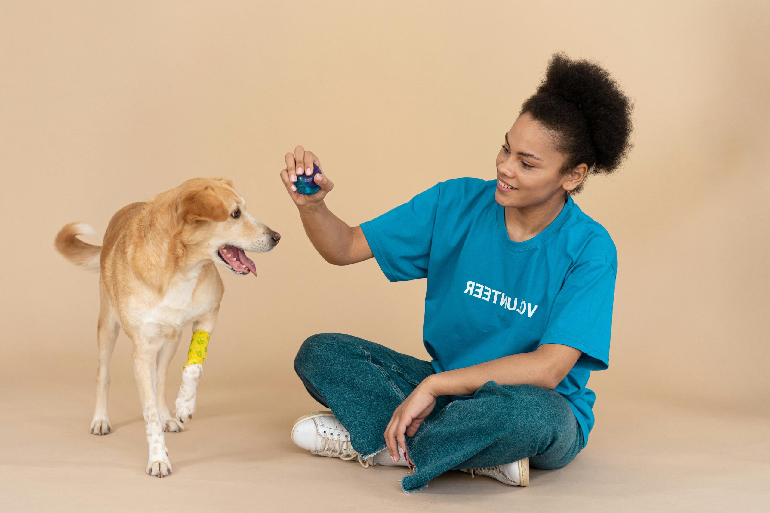 Rescue dog smiling after successful training sessions